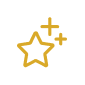Icon with a star and two plus signs